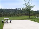 Empty RV site with great views at JACKSON RANCHERIA RV PARK - thumbnail