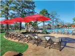 Swimming pool with outdoor seating at THOUSAND TRAILS LAKE CONROE - thumbnail