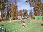 Tennis courts at THOUSAND TRAILS WILDERNESS LAKES RV RESORT - thumbnail