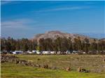 View of RV park at THOUSAND TRAILS WILDERNESS LAKES RV RESORT - thumbnail