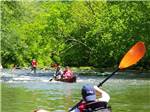A group of people kayaking in the river at CEDAR CREEK RV & OUTDOOR CENTER - thumbnail