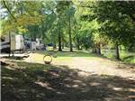 Row of waterfront sites with trailers at CEDAR CREEK RV & OUTDOOR CENTER - thumbnail