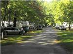 Campground road flanked by spaces and lush green trees at MADISON VINES RV RESORT & COTTAGES - thumbnail