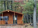 Cabin with a porch under autumn trees at MADISON VINES RV RESORT & COTTAGES - thumbnail