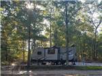 A travel trailer surrounded by trees at ATLANTIC BLUEBERRY RV PARK - thumbnail