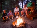 A family roasting marshmallows around a campfire with Yogi Bear at YOGI BEAR'S JELLYSTONE PARK AT DELAWARE BEACH - thumbnail