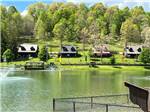 A row of rental cottages on the water at WOOD'S TALL TIMBER RESORT - thumbnail