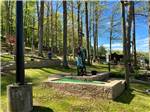 The miniature golf course at WOOD'S TALL TIMBER RESORT - thumbnail