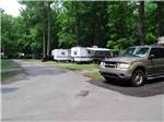 A row of RVs under trees at CHESAPEAKE CAMPGROUND - thumbnail