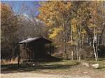 A rental unit surrounded by fall foliage at HTR DURANGO  - thumbnail