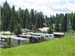 View of RV park and tall firs from grassy ridge at FISH'N FRY CAMPGROUND & RV PARK - thumbnail