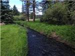 Narrow creek rushes through a grassy meadow at FISH'N FRY CAMPGROUND & RV PARK - thumbnail