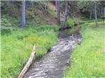 Stream rolls along the bottom of a slope at FISH'N FRY CAMPGROUND & RV PARK - thumbnail