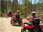 Three people riding ATVs at WINDING RIVER RESORT - thumbnail