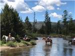 A group of horses riding thru a river at WINDING RIVER RESORT - thumbnail