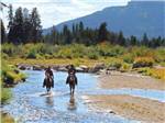 Two horses riding thru a shallow river at WINDING RIVER RESORT - thumbnail