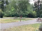 Long site with picnic table at CAMPGROUND ST REGIS - thumbnail
