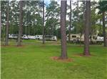 RVs parked near trees onsite at TRAVELERS CAMPGROUND - thumbnail