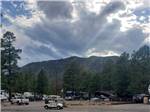A group of RV sites by tall trees with mountains in the background at FLAGSTAFF RV PARK - thumbnail