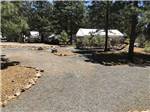 The gravel road leading to a pavilion at FLAGSTAFF RV PARK - thumbnail