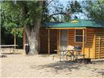 Log cabins at CHRIS' CAMP & RV PARK - thumbnail