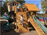 Kids playing on the wooden playground equipment at SID TURCOTTE PARK CAMPING AND COTTAGE RESORT - thumbnail