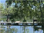An empty dock awaits you at FLORIDA CAVERNS RV RESORT AT MERRITT'S MILL POND - thumbnail