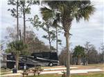 Black and silver motorhome pulled in at a site with a picnic table at FLORIDA CAVERNS RV RESORT AT MERRITT'S MILL POND - thumbnail
