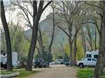 The dirt road leading to the campsites at RIVERVIEW RV PARK & CAMPGROUND - thumbnail