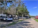 A row of travel trailers and motorhomes at SCOTIA PINE CAMPGROUND - thumbnail