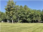 A large grassy area with trees at TIDEWATER CAMPGROUND - thumbnail