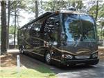 A motorhome in a paved back in RV site at ALLATOONA LANDING MARINE RESORT - thumbnail