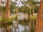 A winding channel with grassy banks under tall trees at BLUEWAY RV VILLAGE - thumbnail