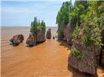 A view of Hopewell Rocks nearby at PONDEROSA PINES CAMPGROUND - thumbnail