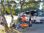 Halloween decorations at campsites at OCEAN LAKES FAMILY CAMPGROUND - thumbnail