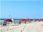 Red umbrellas and chairs on the beach at OCEAN LAKES FAMILY CAMPGROUND - thumbnail