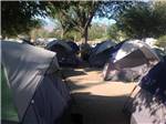 A large group of tents at LAKE ISABELLA RV RESORT - thumbnail