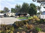 RVs and trailers at campground at PISMO COAST VILLAGE RV RESORT - thumbnail