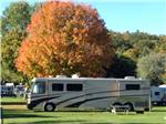 RVs and trailers at campground at LONE PINE CAMPSITES - thumbnail