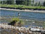 A person standing in the river fishing at RIVERBEND RV PARK OF TWISP - thumbnail