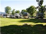 A row of RVs in sites with trees at RIVERBEND RV PARK OF TWISP - thumbnail