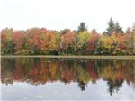 A view of the lake and autumn trees at JELLYSTONE PARK ™ AT BIRCHWOOD ACRES - thumbnail