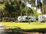 RVs and trailers at campground at ENCORE BULOW RV - thumbnail