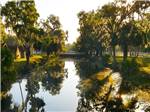 Bridge over river with trees reflecting in the water at ENCORE BULOW RV - thumbnail