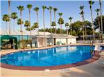 Blue swimming pool with palm trees at ENCORE ALAMO PALMS - thumbnail
