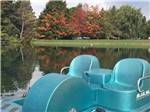 A paddle boat in the lake at COOPERSTOWN SHADOW BROOK CAMPGROUND - thumbnail