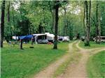 A dirt road leading to the campsites at CAMP TOODIK FAMILY CAMPGROUND, CABINS & CANOE LIVERY - thumbnail