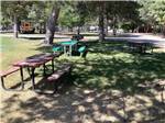 A line of picnic benches at ANDERSON CAMP - thumbnail