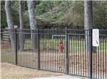 The fenced in pet area at FAYETTEVILLE RV RESORT & COTTAGES - thumbnail