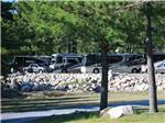 A row of Class A motorhomes parked along rocks at LAKE GEORGE RIVERVIEW CAMPGROUND - thumbnail